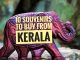 WHAT KERALA FAMOUS FOR? / SOUVENIRS TO BUY FROM KERALA – GODS OWN COUNTRY